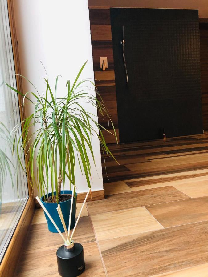 Mala Czantoria Appartement Ustroń Buitenkant foto